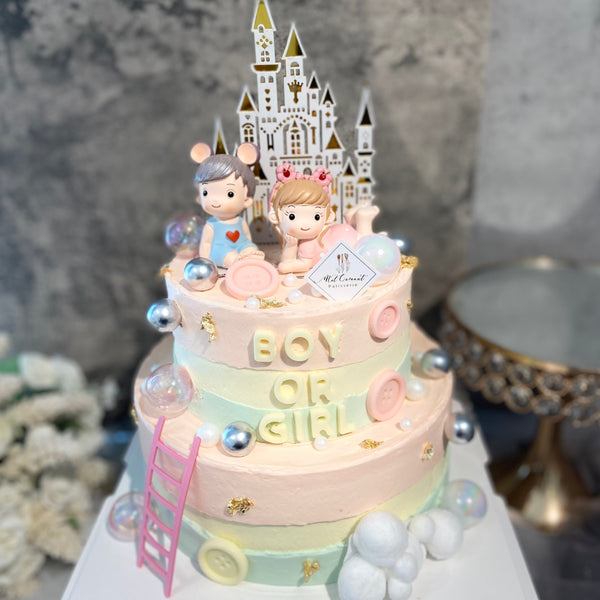 Gender Reveal Cake 宝宝性别揭示蛋糕